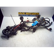 Kabelboom Triumph TT600 2000-2003