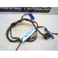 Kabelboom koplamp Yamaha YZF600R thundercat 1996-04