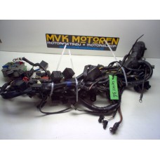 Kabelboom Triumph Daytona 955i