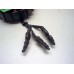 Dynamo Triumph Daytona 955i