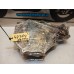 Blokdeksel Links Dynamo Honda NT650V Deauville RC47 1998-2006
