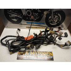 Kabelboom Triumph sprint 900 executive T300 1997-1999