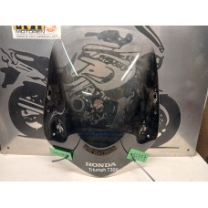 Kuipruit Honda CBF600
